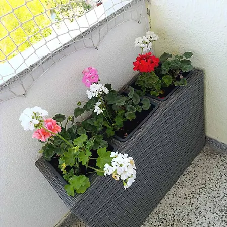 Apartament Esma 2